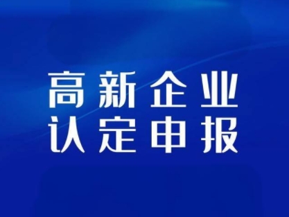 在高新技术企业申报中如何展示企业技术领域的独特性？